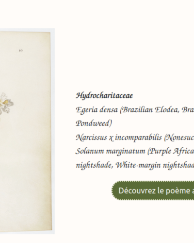 Capture d’écran 2025-12-13 à 17.21.43